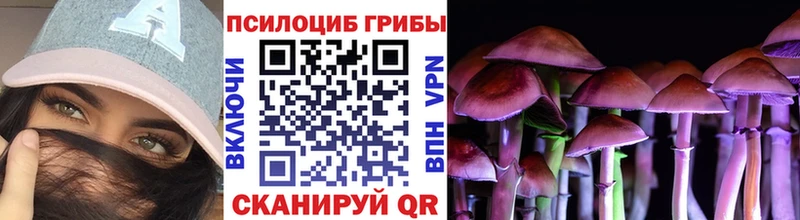 Галлюциногенные грибы MAGIC MUSHROOMS  hydra   Рудня 